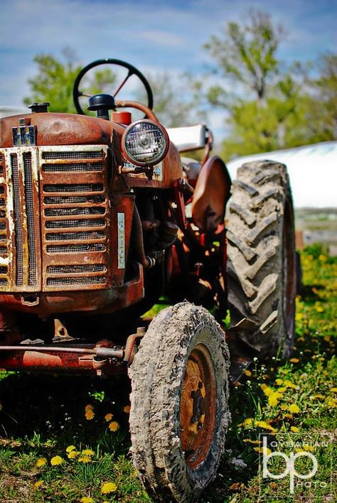 Tractor Photography, Tractor Barn, Car List, Tractor Pictures, Classic Car Photography, Car For Teens, Cars Photography, Farmall Tractors, Disney Cars Birthday