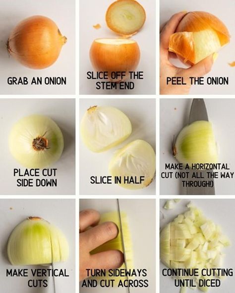 Madeline | Mad About Food on Instagram: “HOW TO DICE AN ONION: This is my method for properly dicing an onion. Adjust the size of your cuts to adjust the size of the dice.⁣ I know…” Essen, Knife Skills Tutorials, Dice An Onion, Culinary Basics, Basic Knife, Kitchy Kitchen, How To Cut Onions, Knife Skills, Culinary Cooking