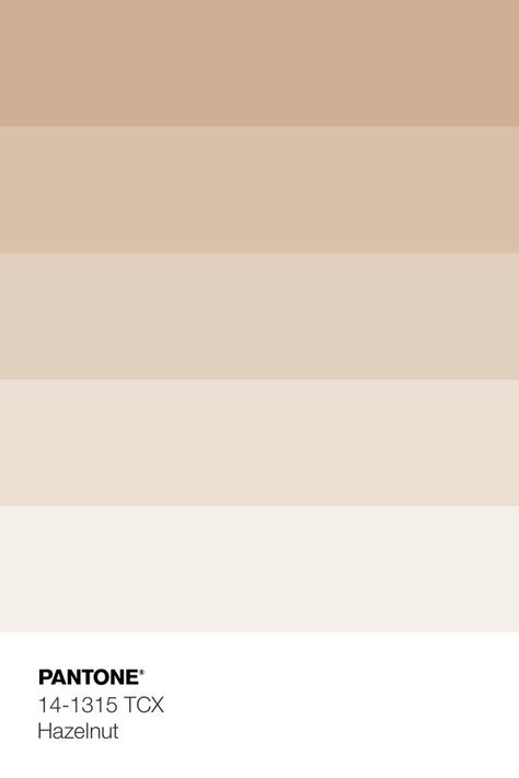 PANTONE 14-1315 TCX Hazelnut • Download Free Adobe Illustrator Palette in .ase • #pantone #pantone2020 #colortrends2020 #colourinspiration #swatches #colorpalettes #pantonecolors #colorpallete #colortrend #colourtrends #coloraesthetic #colorcombination #colourcombination #colourinspiration #colorcombos #forecast #autumncolors #fallcolor #autumncolours #hazelnut Tcx Pantone, Nude Color Palette, Shades Of Cream, Beige Color Palette, Color Caqui, Pantone Colour Palettes, House Color Palettes, Color Schemes Colour Palettes, Fall Color Palette