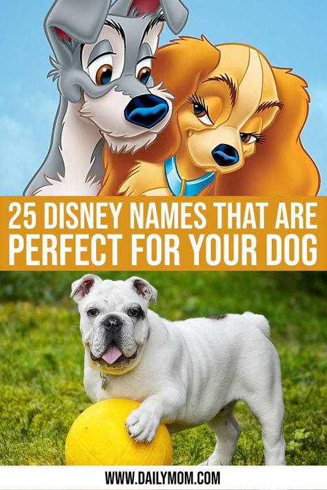 Disney Character Names List, Disney Girl Dog Names, Disney Dog Names Boys, Disney Names For Dogs, Dog Names Disney, Disney Dog Names, Cute Male Dog Names, Disney Pet Names, Puppy Names Unique