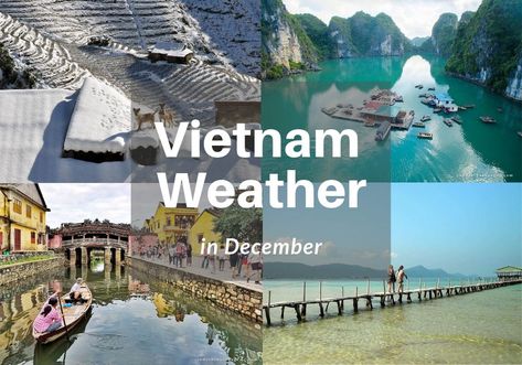 Vietnam is an ideal destination for your escape in such occasions like Christmas and New Year. So let’s find out Vietnam weather in December Vietnam In December, December Weather, Hoi An Old Town, Vietnam Trip, Vietnam Ho Chi Minh, Beautiful Vietnam, Vietnam Tours, Luxury Honeymoon, North Vietnam