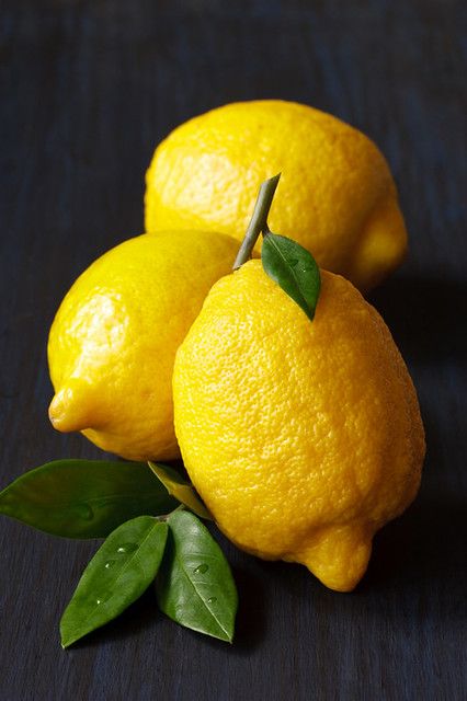 Lemon. | Beautiful fresh lemons with leaves on a dark blue b… | Flickr Still Life Pictures, Life Drawing Reference, Fruits Photos, Fruit Picture, Still Life Fruit, Fruit Photography, Still Life Photos, Beautiful Fruits, Still Life Drawing