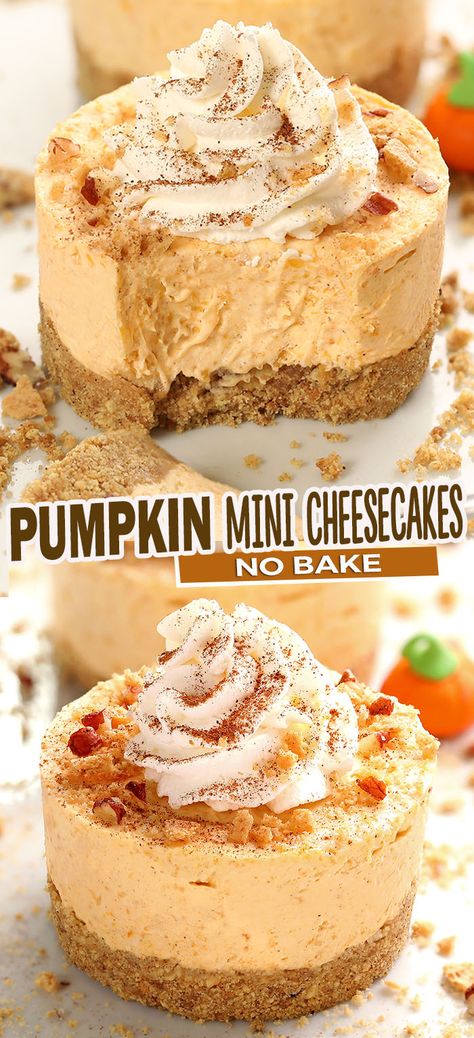 Best No Bake Pumpkin Cheesecake, One Serving Pumpkin Desserts, Essen, Flan, Pumpkin Pie No Bake Cheesecake, Pumpkin Pie Deserts, Pumpkin Cheesecakes Mini, The Best Pumpkin Cheesecake, No Bake Desserts Pumpkin