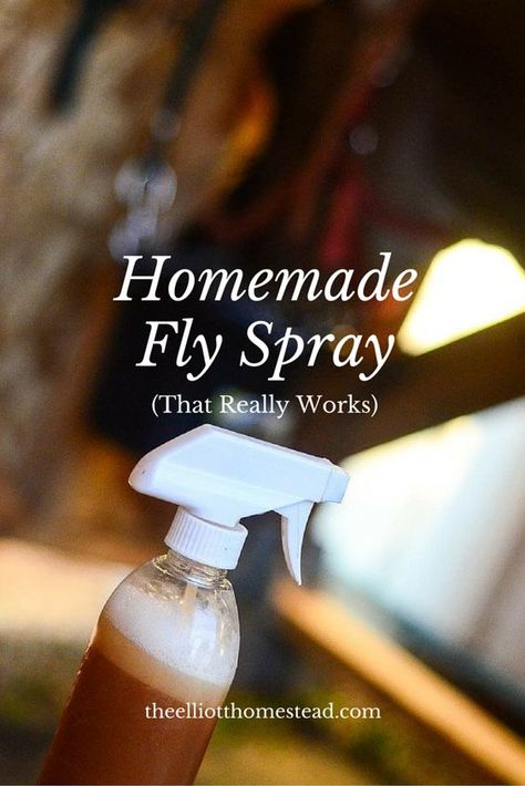 Pandas, Ant Remedies, Homemade Fly Spray, Fly Spray For Horses, Oils Essential, Fly Spray, Dog Spa, Tick Repellent, Insect Spray