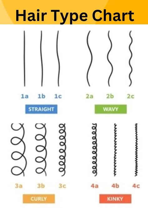 Hair Type Chart 12 Major Hair Types, Different Hair Textures Chart, Hair Chart Drawing, Hair Chart Type, 4c Hair Chart, Curl Levels Chart, Hair Curl Type Chart, Hair Patterns Chart, Hair Curl Chart