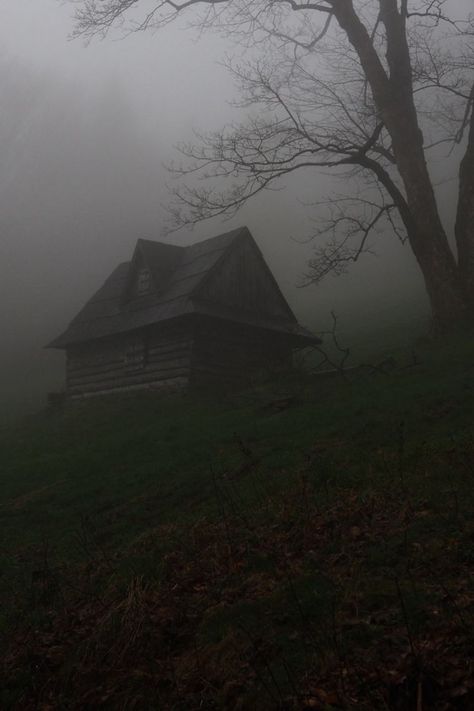 Spooky Cabin, Cabin In The Woods Aesthetic, Samsung Wallpaper Hd, Custom Photo Calendar, Spooky Woods, Sea Life Art, Spooky Places, Spooky Town, Spooky House