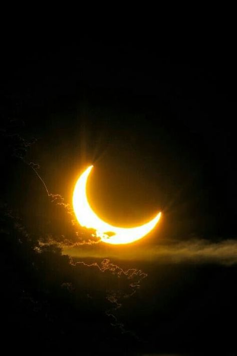 Gold crescent moon | Black and gold | Lunar aesthetic Solar Eclipse, Black And Gold Aesthetic, 2560x1440 Wallpaper, Hufflepuff Aesthetic, Moon Photography, Gold Aesthetic, Beautiful Moon, Dark Yellow, Yellow Aesthetic