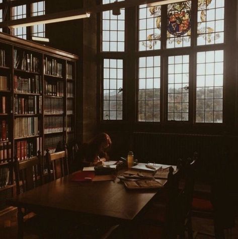 girl studying in a library studyspo Hogwarts Library, Hogwarts Uniform, Gryffindor Aesthetic, Library Aesthetic, Images Harry Potter, Harry Potter Images, Hogwarts Aesthetic, Hogwarts Castle, Hogwarts School