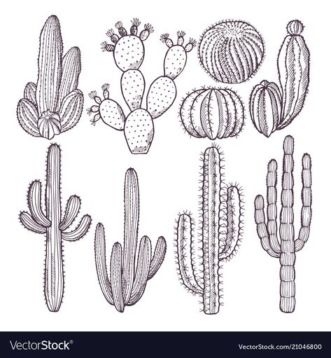 Cactus Sketch Simple, Cactus Drawing Easy, Simple Cactus Drawing, Cacti Drawing, Cactus Line Drawing, Cactus Doodles, Cactus Sketch, Nature Doodles, Cactus Outline