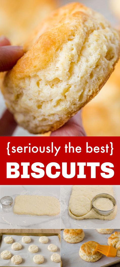 how to make biscuits Fluffy Homemade Biscuits, Best Biscuit Recipe, Homemade Bread Recipes, Best Biscuits, Easy Homemade Biscuits, Easy Biscuit Recipe, Homemade Biscuits Recipe, Homemade Bread Recipes Easy, Biscuits Easy