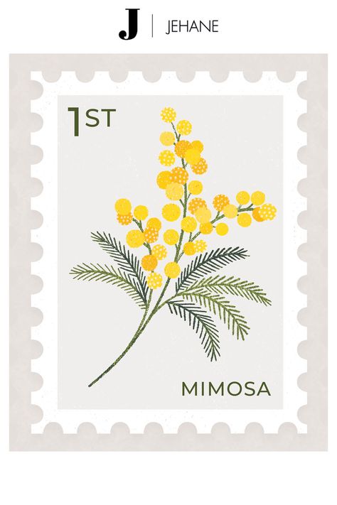 Floral Stamps Vintage, Mimosa Flower Illustration, Mimosa Drawing, Mimosa Tattoo, Mimosa Illustration, Floral Art Drawing, Frames Illustration, Baby Canvas Art, Stamp Illustration