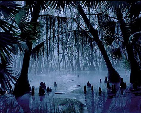 voodoo swamp - Google Search Longing Illustration, Swamp Graveyard, Swamp Core, Swamp Illustration, Swamp At Night, Spooky Swamp, Louisiana Swamp, Louisiana Bayou, Southern Gothic