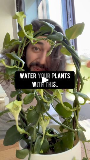 812K views · 33K reactions | Cucumber Water = Magic for Plants! 😲🌱🥒 
.
.
.
.
#cucumber #plants #lifehacks #recipe #howto #fertilizer #gardening #gardeningtips #plantbased #vegan #tips | By creative explainedFacebook Yard Hacks, Garden Pests Control, Cucumber Plants, Creative Explained, Water Magic, Vegan Tips, Cucumber Water, Plant Help, Plant Hacks