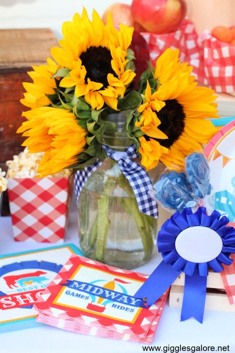 County Fair Backdrop Ideas, Fall Fair Party Ideas, County Fair Themed Party, County Fair Party Theme, Country Fair Themed Party, Country Fair Decorations, County Fair Centerpieces, County Fair Decorations Ideas, County Fair Party Ideas