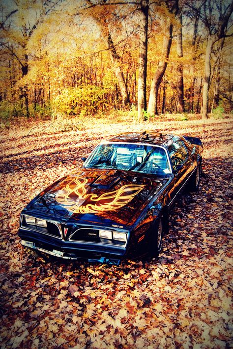 Dad's 78 Trans Am 77 Pontiac Firebird, Pontiac Trans Am Firebird, 1977 Pontiac Trans Am, 1977 Pontiac Firebird Trans Am, Pontiac Trans Am 1977, Transam Firebird, 1979 Trans Am, 1979 Pontiac Firebird, Wallpaper Carros