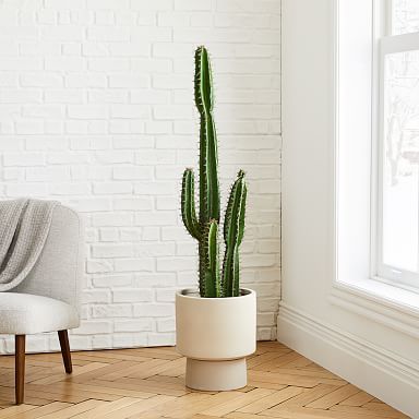 Indoor Cactus Plants, Fake Cactus, Pedestal Planter, Cactus Terrarium, Potted Cactus, Cactus Plant Pots, Faux Cactus, Indoor Cactus, Modern Planters