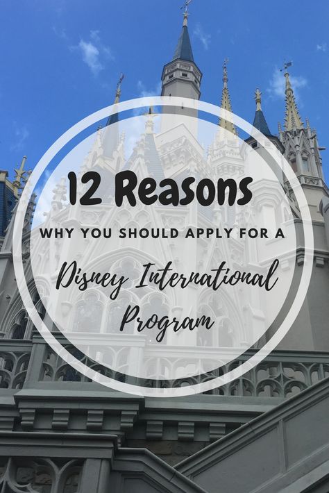 Disney International Program, Disney Cultural Exchange Program, Exchange Program, College Resources, College Graduation Cap Decoration, Disney College Program, Disney College, Cap Decoration, Job Career