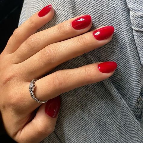 #autumnnails #pressonnails #shortalmondnails #glossyfakenails #red

Short almond shaped glossy red fake nails. Perfect for fall! #autumnnails #pressonnails #shortalmondnails #glossyfakenails Nail Color Inspo Fall, Kourtney Kardashian Red Nails, Gel Nails Short Solid Color, Simple Oval Nails Classy, Red Nails Gel Polish, Long Square Round Nails, Late Summer Early Fall Nails Short, Nails September Colors, Red Nail Manicure