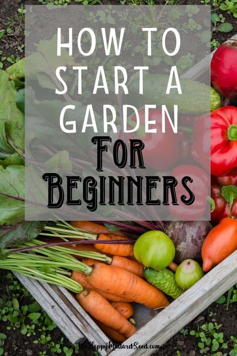 Start A Garden For Beginners, Garden For Beginners, Tattoo Plant, Start A Garden, Raised Vegetable Gardens, Small Vegetable Gardens, Garden Layout Vegetable, Vegetable Garden Planning, Vegetable Garden Diy