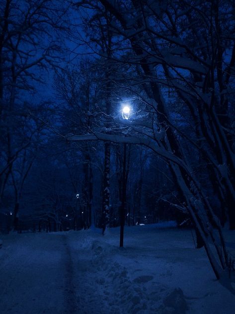 winter, night, walk Snowy Street Night, Winter Nights Aesthetic, Cold Night Aesthetic, Winter Blue Aesthetic, Ball Room Aesthetic, Relaxing Thoughts, Winter At Night, Wilderness Aesthetic, Room Aesthetic Dark