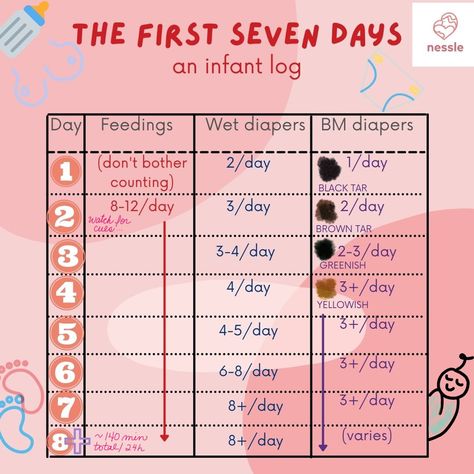 Wet Diapers For Newborn Chart, Newborn Diaper Chart, Diapers Needed For First Year Chart, How Many Diapers Do I Need In Each Size, Pee Chart, Baby Poop Guide, Diaper Change Chart, Baby Poop, Diaper Chart