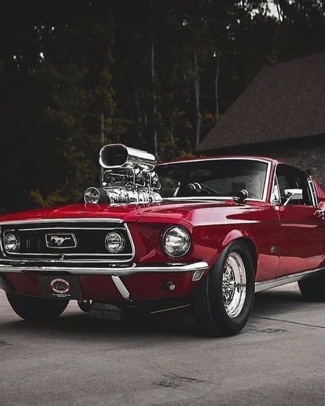 Vintage Muscle Cars Wallpaper, Old Muscle Cars Wallpaper Iphone, Old Mustang Cars Wallpapers, 1969 Mustang Wallpaper, 1969 Ford Mustang Wallpaper, Old Mustang 1969, Mustang 1969 Wallpaper 4k, Classic Mustang Wallpaper, Ford Mustang 1969 Wallpaper