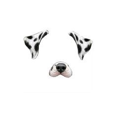 Snapchat Filter Dalmatian Dog Dogs Snapchat, Snapchat Filters Png, Emojis Snapchat, Snapchat Dog Filter, Cartoon Filter, Popular Stickers, Png Images For Editing, Dog Filter, Photography Tips Iphone