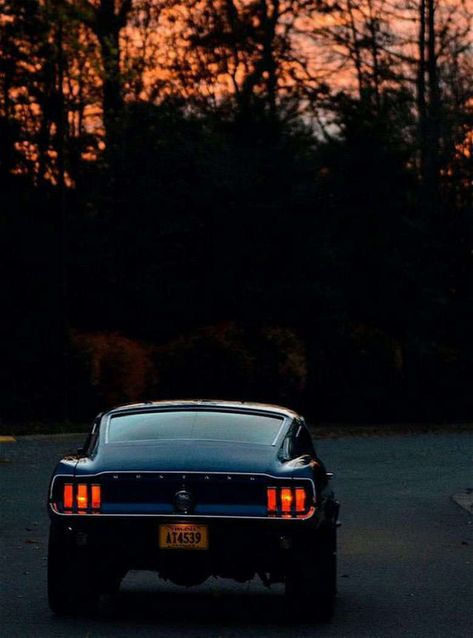 Daily Man Up (28 Photos) - Suburban Men 240z Datsun, Mustang 1969, Ford Mustang 1969, Ford Mustang 1967, Ford Mustang Wallpaper, Autos Ford, Mustang Wallpaper, Ford Mustang Fastback, Classic Mustang