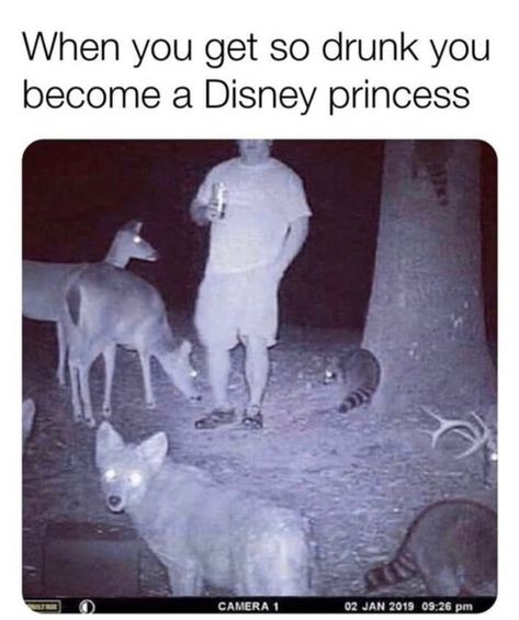 Funny Disney Memes, Funny Disney Jokes, Disney Jokes, Funny Animal Jokes, 웃긴 사진, Crazy Funny Memes, Memes Humor, Disney Memes, صور مضحكة