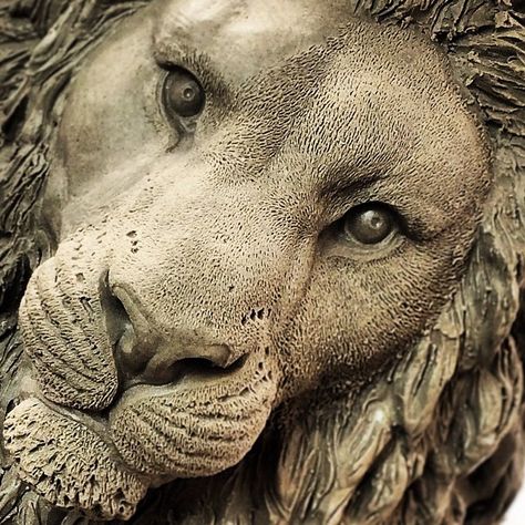 https://flic.kr/p/oZEWVF | Lion. #sculpture #sculpt #clay #escultura #igorgosling Lion Status, Antony Gormley, Lion Art, Sculpting Clay, Wolf Art, Sculpture Clay, Animal Sculptures, Horse Painting, Pastel Painting