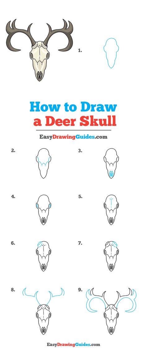 Easy Deer Head Drawing, How To Draw Cow Skull, How To Draw Deer Skull, How To Draw A Bull Skull, Deer Doodle Easy, Deer Head Drawing Easy, How To Draw Animal Skulls, Deer Skull Drawing Simple, Animal Skull Drawing Simple