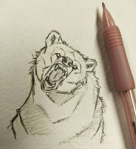 Elora on Instagram: “A quick bear sketch . . . #art #drawings #animalart #sketch #artgallery #animaldrawing #bear #grizzlybear #draw #drawingsketch…” Cool Bear Drawings, Bear Drawing Scary, Bear Growling Drawing, Bear Sketch Drawing, Mountain Lion Sketch, Bear Eyes Drawing, Bear Art Reference, Scary Bear Drawing, Bear Drawing Realistic