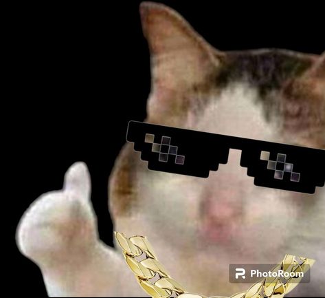 Drippy thumbs up cat meme Thumbs Up Meme Funny, Cat Giving Thumbs Up, Cat Thumbs Up Reaction Pic, Cat Thumbs Up, Thumbs Up Reaction Pic, Thumbs Up Meme, Thumbs Up Funny, Cat Kiss, Funny Cat Images