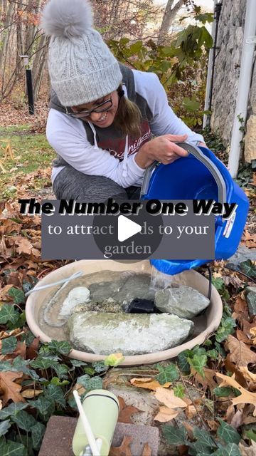 🌸 Mary Ann ~ Seasonal Home & Garden Tips. on Instagram: "7️⃣ Steps HERE 👇🏻
.
🕊 The number one way to attract birds to your garden is… WATER!! 
.
🕊 If you LOVE watching backyard birds while you are gardening you want to do this:
.
*️⃣ Steps to creating a backyard bird bath with smart camera:
.
1️⃣ Location.
.
🕊A spot in your garden with good cover from predators and a good lookout spot for the birds to evaluate the bird bath. It also has to be close to an outdoor outlet. 
.
2️⃣ A large tray:
.
🕊 Large enough and deep enough for the pump and slate/rocks.
.
3️⃣ Pieces of slate & rocks:
.
🕊You need 2 large pieces of slate, each resembling a semicircle. Both need to be different thicknesses to offer a deep and shallow end for your birds. 
.
🕊 The deeper end is for larger birds like rob Nature, Backyard Bird Bath Ideas, Best Bird Baths, Bird Bath With Rocks, Bird Bath Water Feature, Bird Baths In Garden, Diy Bird Fountain, How To Make A Bird Bath, Bird Sanctuary Ideas Backyards Gardens