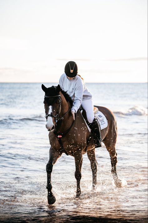 Equitation Aesthetic, Horsey Life, Horse Photography Poses, Horse Riding Aesthetic, Show Jumping Horses, Equestrian Aesthetic, Cute Horse Pictures, Equestrian Clothing, Equestrian Girls