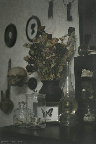 Dark Forest Room, Apocalypse Decor, Oddities Aesthetic, Witch Home Aesthetic, Morgue Aesthetic, Michelle Core, Grafika Vintage, Arte Occulta, Dark Cottagecore