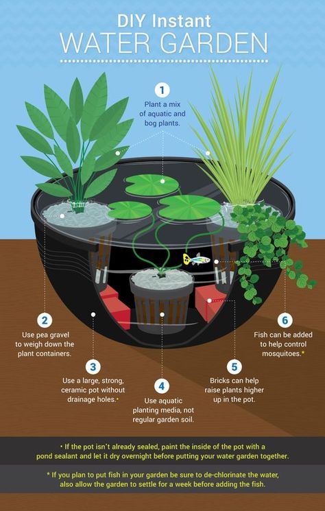 Tanaman Air, Dream Homestead, Ponds For Small Gardens, Mini Pond, Kolam Koi, Taman Air, Container Water Gardens, Patio Pond, Bog Plants