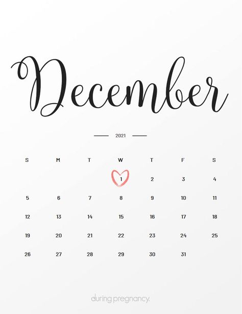 Sagittarius Baby, 1 Decembrie, Baby Due Date, 1 December, Happy December, Baby Due, December Birthday, Instagram Photo Editing, 2021 Calendar