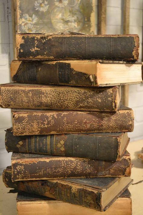 Antique Books, Old Books, City Farmhouse, World Of Books, Book Nooks, Library Books, I Love Books, Book Aesthetic, Love Book