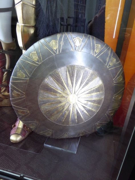 Wonder Woman Shield, Connie Nielsen, Nightwing Cosplay, Black Widow And Hulk, Amazonian Warrior, Creative Building, Jason Todd Batman, Big Girl Toys, Poison Ivy Batman