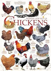 Chicken Quotes, Beautiful Chickens, Building A Chicken Coop, Cobble Hill, Unique Puzzles, Chicken Runs, 1000 Piece Puzzle, Chicken Breeds, Chicken House