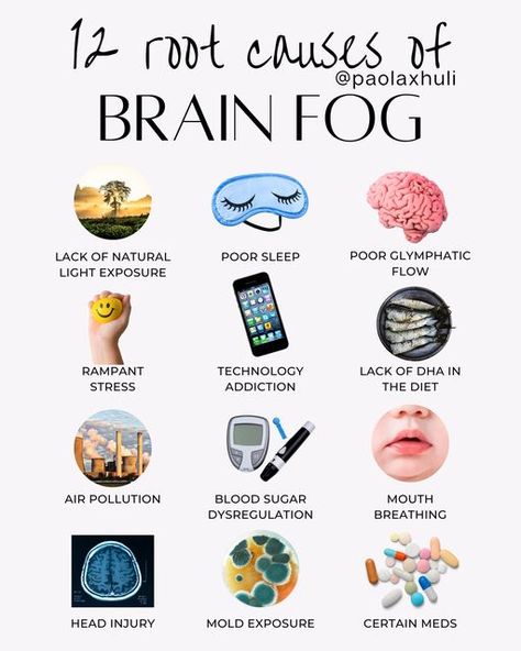 Organisation, Brain Fog Remedies, Lifestyle Medicine, Mitochondrial Health, Cellular Health, Executive Functions, About Brain, Low Estrogen Symptoms, Mold Exposure