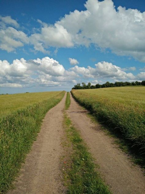 Lonely Road, Country Roads Take Me Home, Back Road, Foto Art, Nature Aesthetic, Fotografi Potret, Pretty Places, Landscape Photos, Image Hd