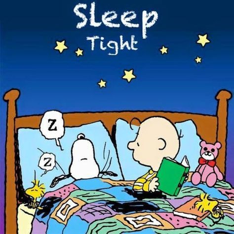 Goodnight Snoopy, Woodstock Snoopy, Sally Brown, Peanuts Cartoon, Slaap Lekker, Snoopy Quotes, Snoopy Pictures, Snoop Dog, Snoopy Love