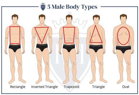 Body Shape & Men's Style - How To Dress For Your Body Type - RealMenRealStyle Mens Body Types, Male Body Shapes, Mens Body, Types Of Body Shapes, Dress Body Type, Rectangle Body Shape, Triangle Body Shape, Style Masculin, Big Men Fashion