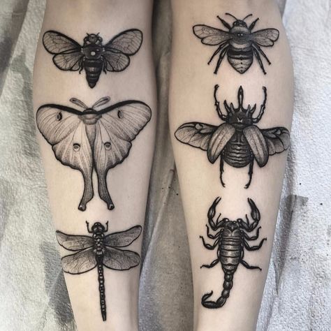Nature Tattoos, Moth Tattoo Design, Beetle Tattoo, Funky Tattoos, Bug Tattoo, Insect Tattoo, Moth Tattoo, Tattoo Portfolio, Dream Tattoos