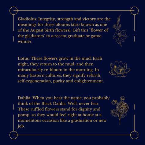 Tumblr, Black Dahlia Flower Meaning, Black Dahlia Meaning, Dahlia Meaning, Dahlia Flower Meaning, Black Dahlia Flower, Character Quirks, Flower Symbolism, Flower Meaning