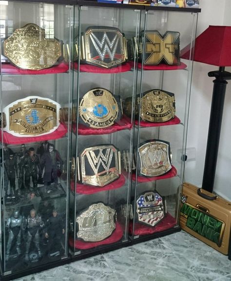 Championship Belt Case Wrestling Belt Display, Wwe Belt, Wwe Birthday Party, Belt Case, Wwe Championship Belts, Wwe Birthday, Wwe Belts, Wrestling Belts, Wwe Toys