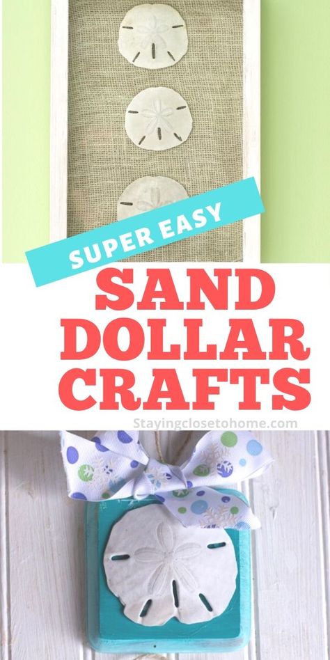 Sand Dollars Art, Sand Dollar Gift Ideas, Sand Dollar Diy Projects, What To Do With Sand Dollars Ideas, What To Make With Sand Dollars, Ideas For Sand Dollars, Preserve Sand Dollars, Craft With Sand Dollars, Sand Dollar Wreath Diy