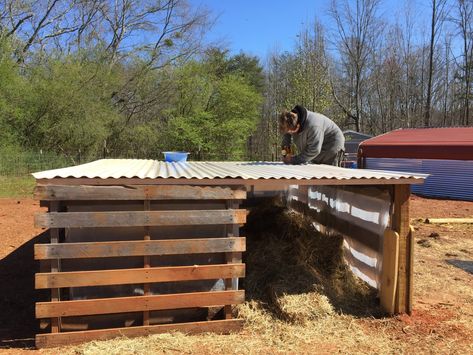 Pigs Farming Ideas House, Building Pig Pens, Feeder Pig Pen, Hog Pen Ideas How To Build, Pig Pen With Pallets, Pig Hut Ideas, Diy Hog Pen, Diy Pig Pen Ideas, Pig Pens Diy